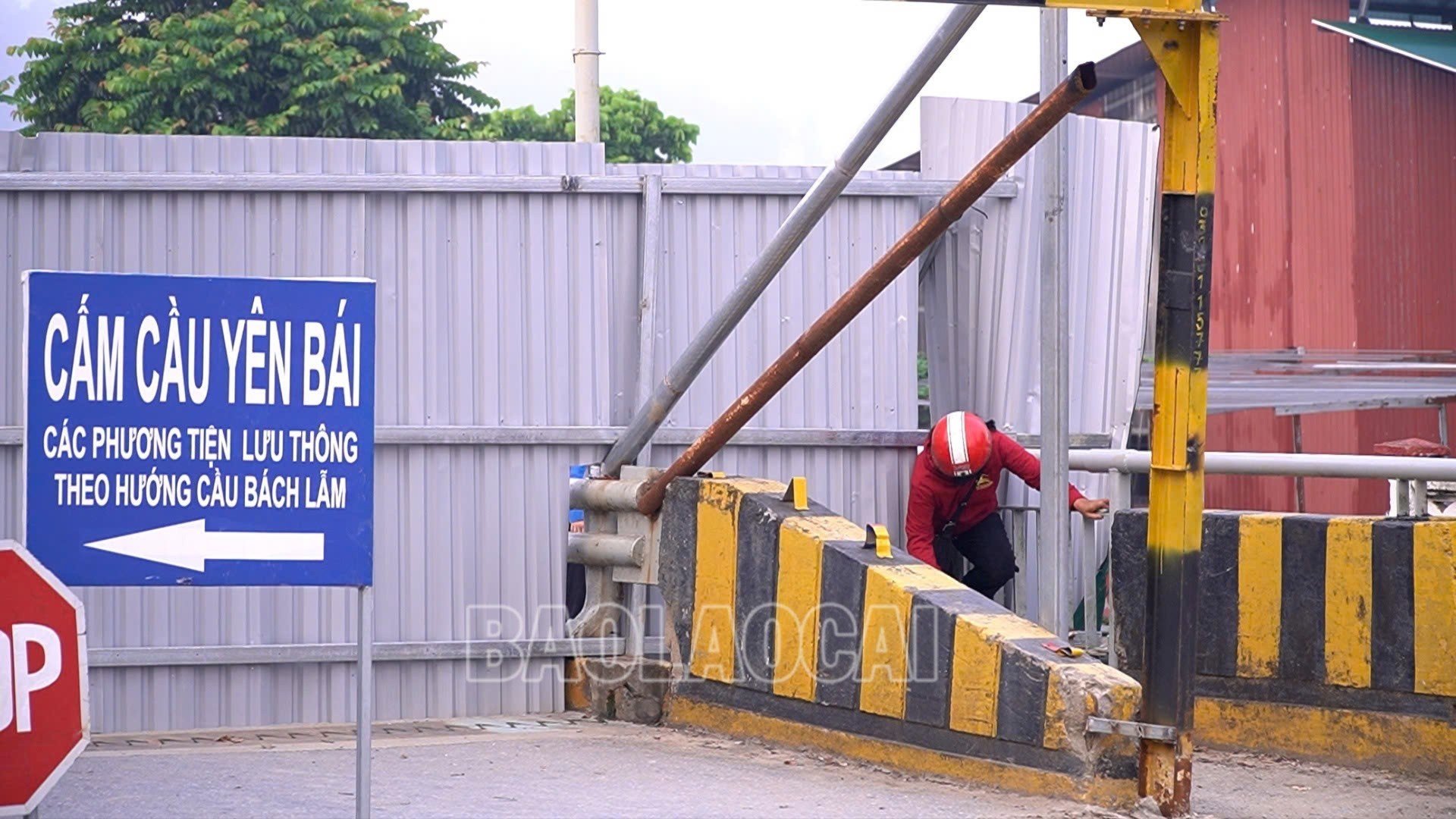 Bất chấp lệnh cấm và biển cảnh báo, người dân vẫn tự ý chui qua rào chắn để đi bộ qua cầu Yên Bái.