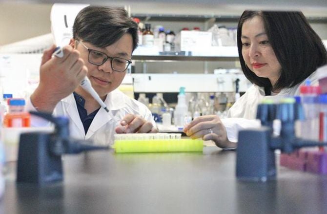 Doktorgradsstudent Tuan-Anh Nguyen (venstre) og doktorgradsstudent Thu-Thuy Dang undersøker planteprøver i laboratoriet. Foto: UBC Okanagan Nghiên cứu sinh tiến sĩ Tuan-Anh Nguyen (trái) và tiến sĩ Thu-Thuy Dang đang kiểm tra các mẫu thực vật trong phòng thí nghiệm. Ảnh: UBC Okanagan