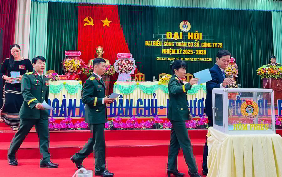 cac-dai-bieu-bo-phieu-bau-bch.jpg