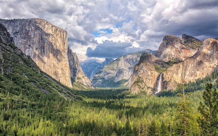 Được công nhận là vườn quốc gia từ năm 1890. Yosemite là một trong những vườn quốc gia đầu tiên của Hoa Kỳ và toàn thế giới. Ảnh: Pinterest.