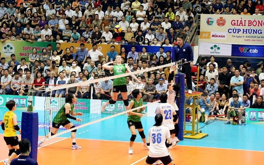 Розклад півфіналів Чемпіонату країни з волейболу 2025 року - фото 1