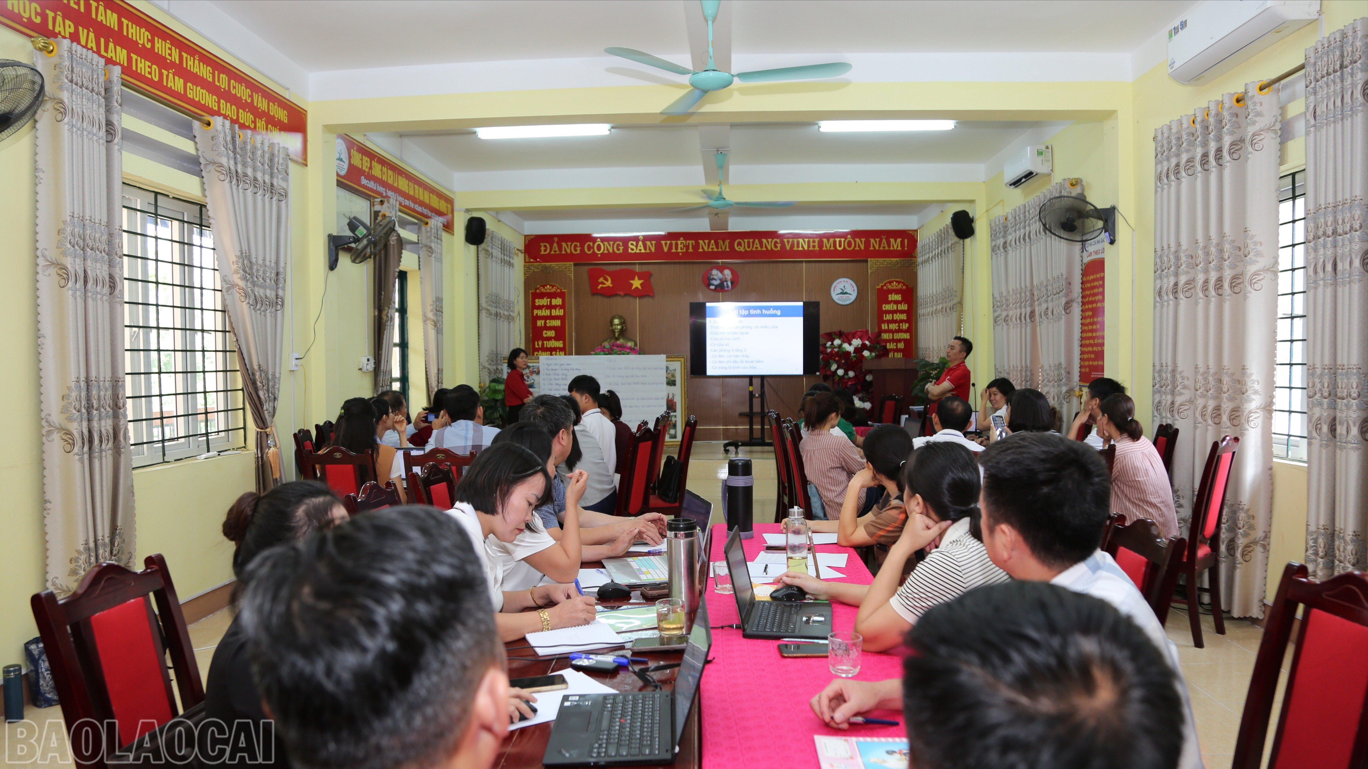 baolaocai-bl_bl-cici4945.jpg