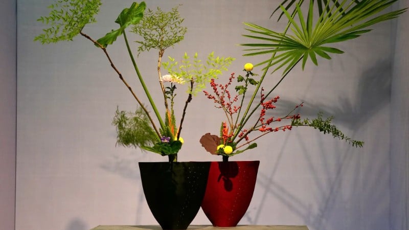 Vẻ đẹp tinh tế của các tác phẩm tại triển lãm Ikebana Hà Nội lần thứ 8.