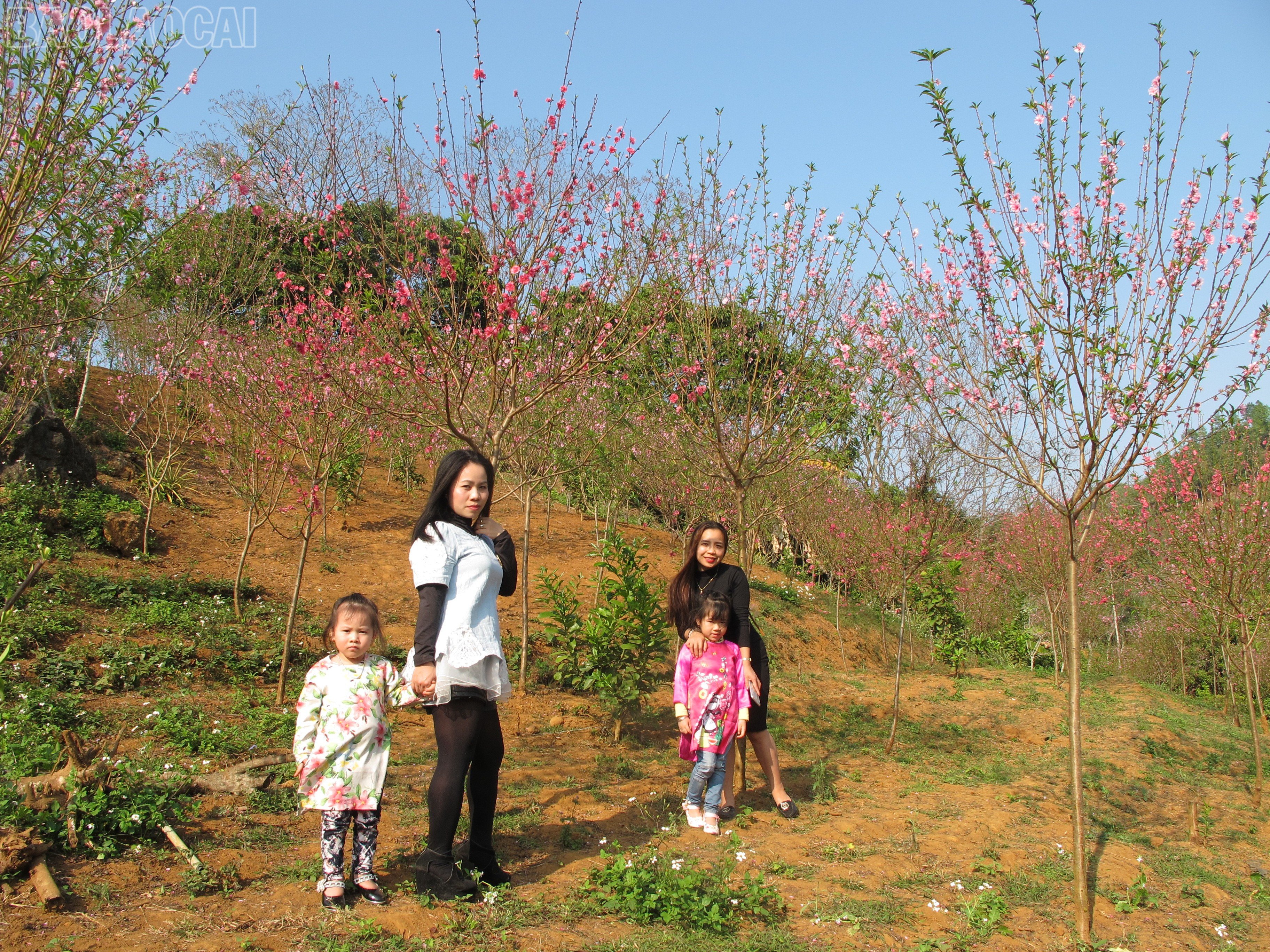 baolaocai-tl_img-8934-1.jpg