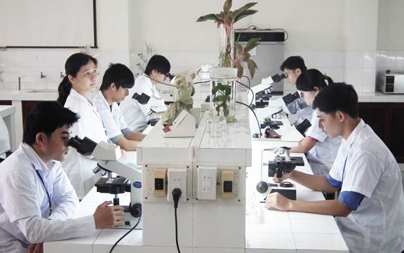 Thúc đẩy khai thác thương mại quyền sở hữu trí tuệ — Chuyển từ bảo vệ quyền sang tài sản hóa, thương mại hóa- Ảnh 2.