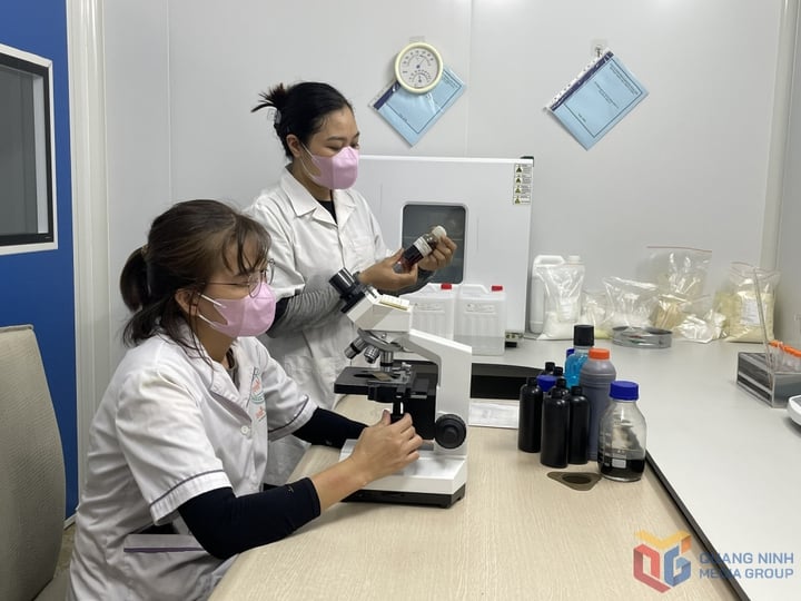 Sở KH&CN Quảng Ninh làm việc với Cục Viễn thông – Bộ KH&CN nhằm tháo gỡ vướng mắc về hạ tầng viễn thông và chuyển đổi số - Ảnh 1.