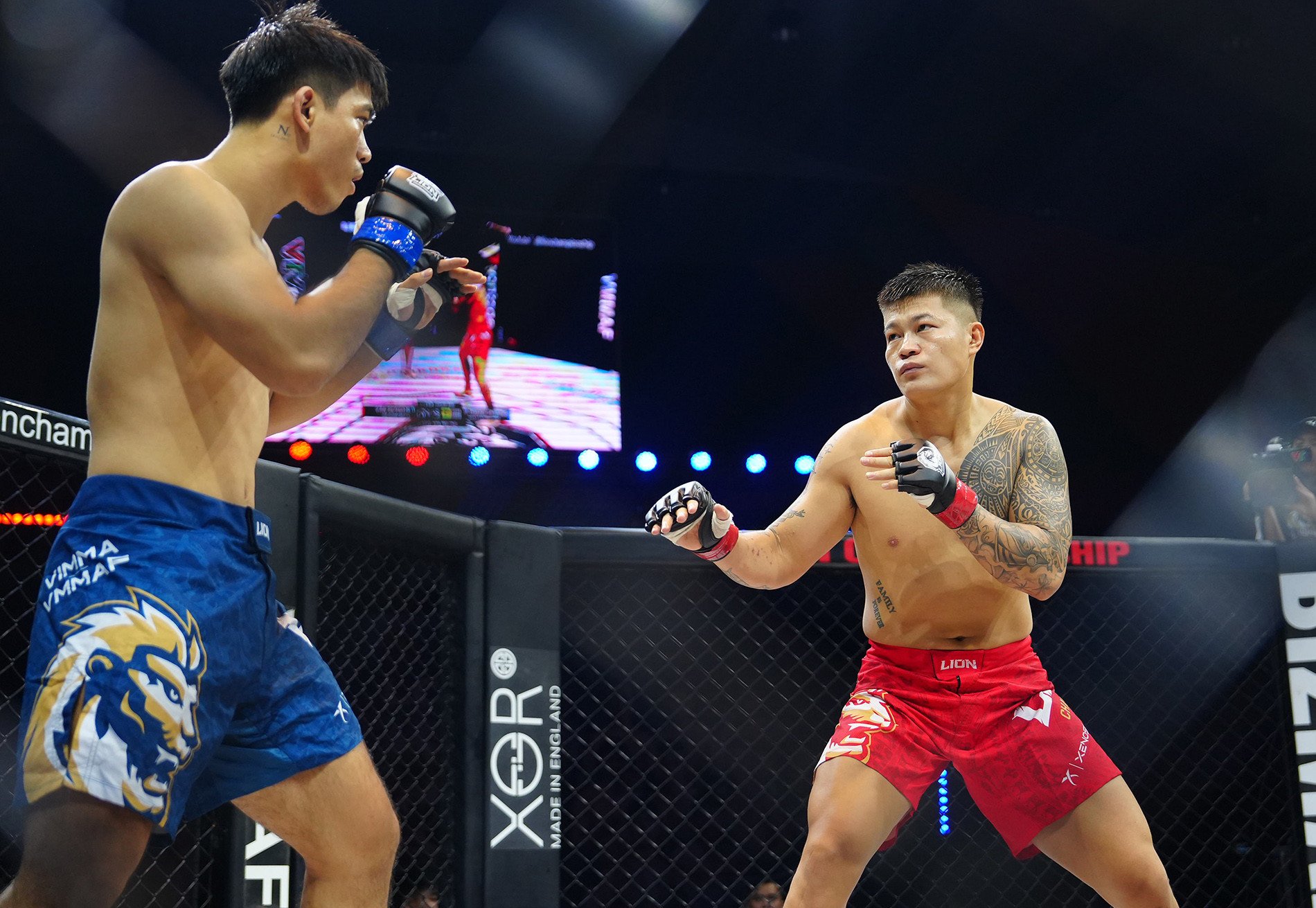 mma vietnã.jpg