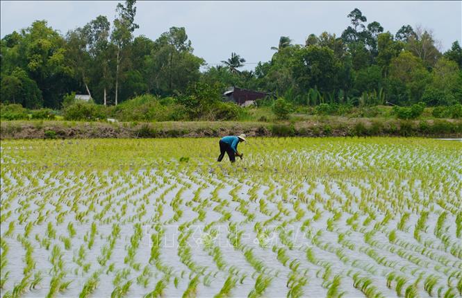 ចំណងជើងរូបថត
