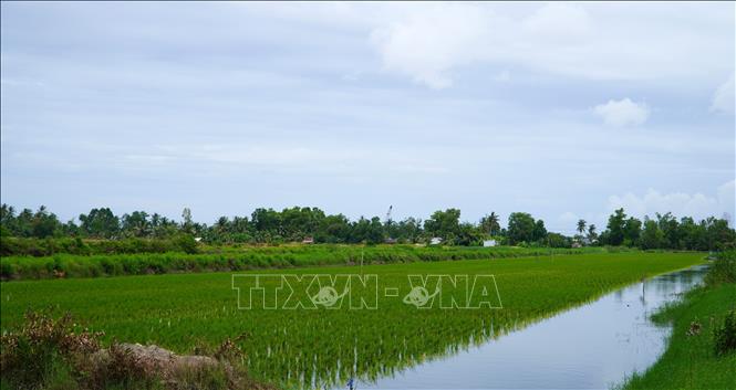 ចំណងជើងរូបថត