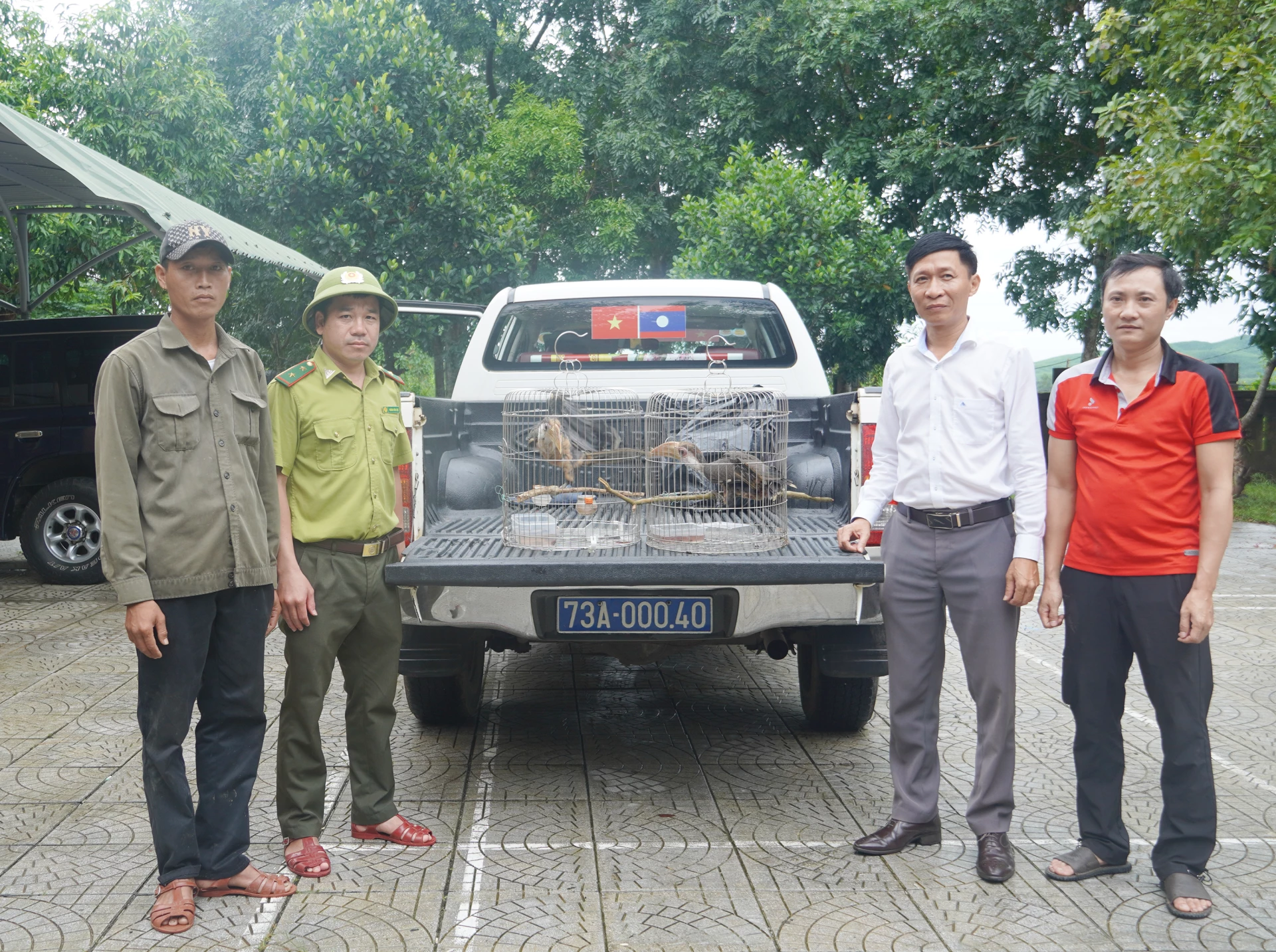Perwakilan Pusat Penyelamatan, Konservasi dan Pengembangan Taman Nasional Phong Nha-Ke Bang menerima dua ekor burung fregat tenggorokan coklat - Foto: X.V