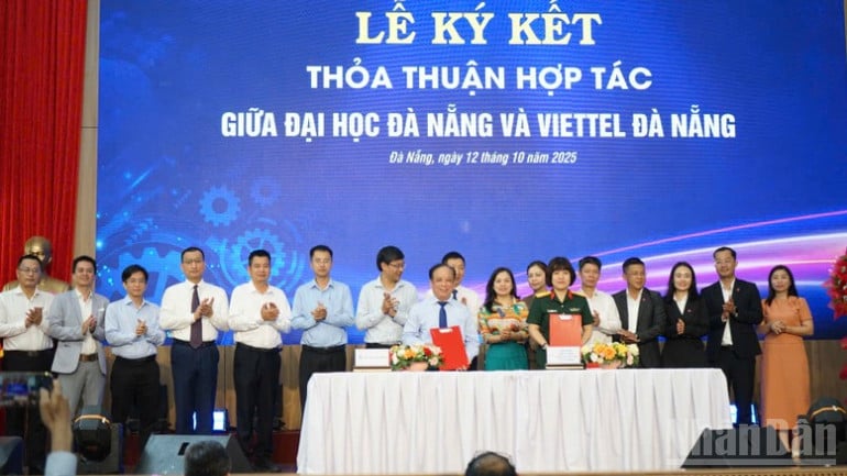ndo_br_ac3c82e14594c8ca9185-4842.jpg