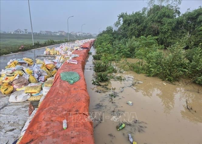사진 설명