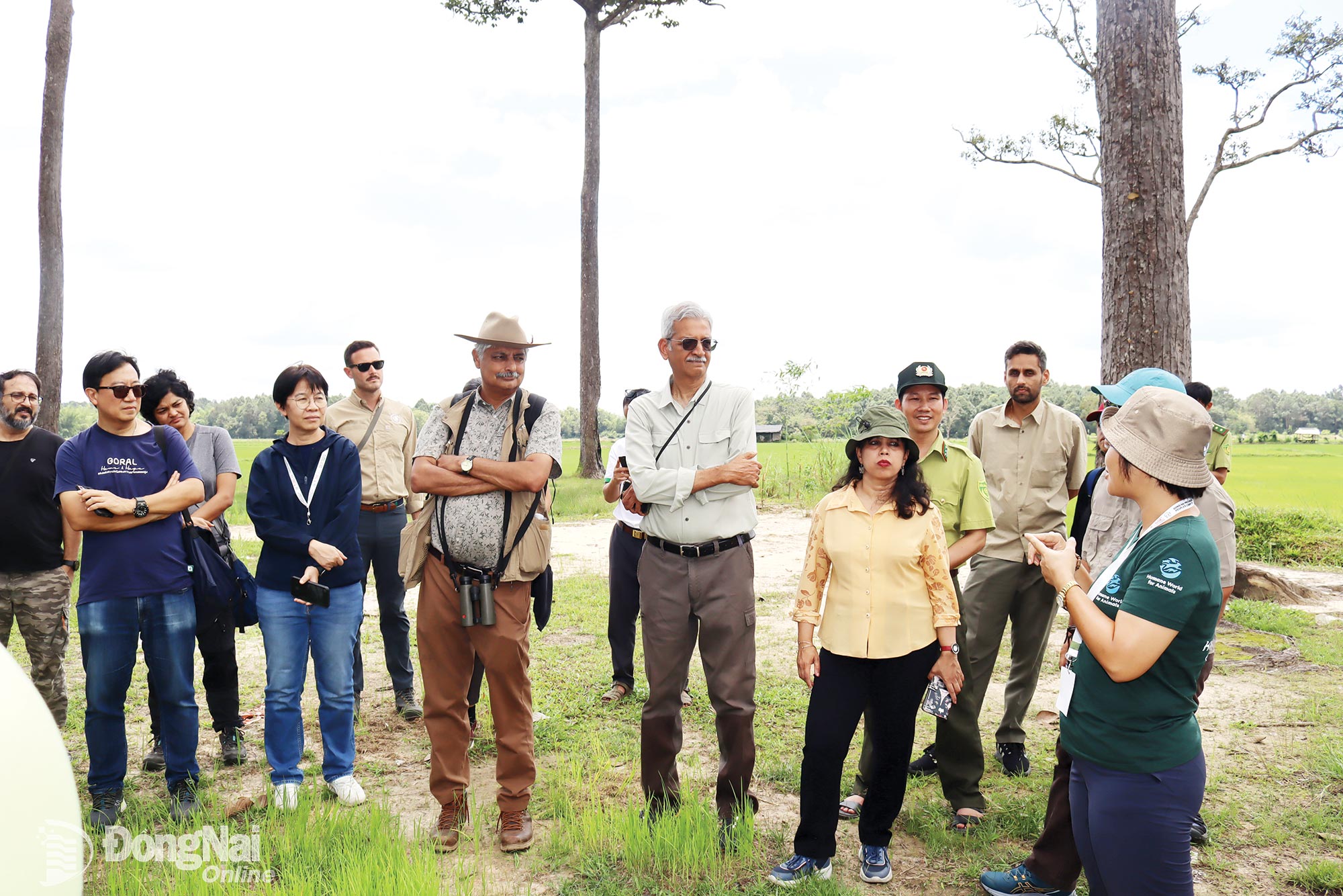 A group of wild elephant scientists, experts and managers on a field trip to Cat Tien National Park.