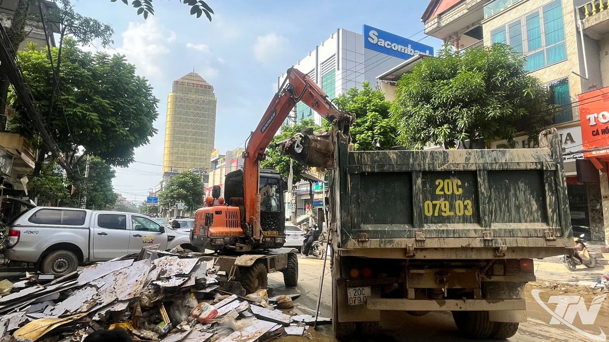 סופה מספר 11, תברואה סביבתית, איסוף אשפה, תאי נגוין