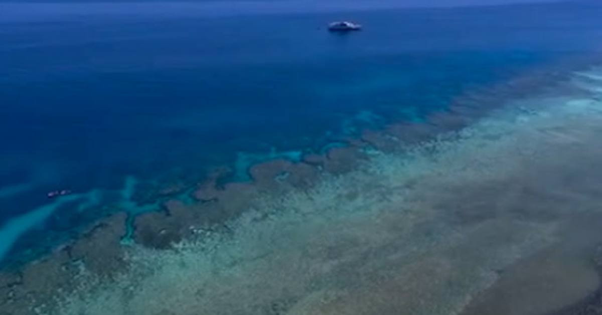 Phát hiện rạn san hô trắng bí ẩn dưới Địa Trung Hải