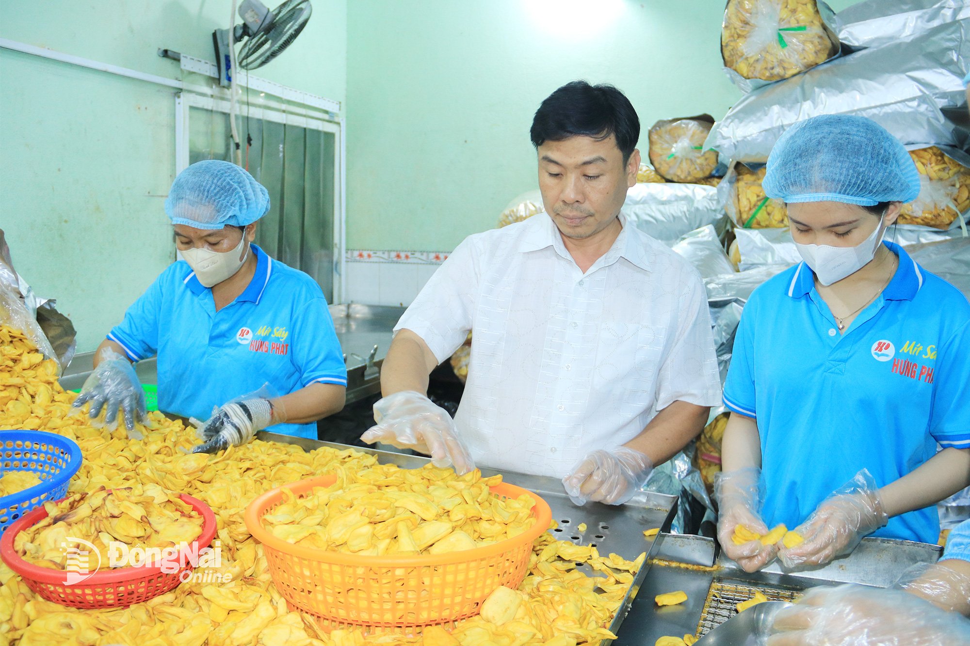 Produktion in einem Unternehmen im Bezirk Long Khanh. Foto: Tran The