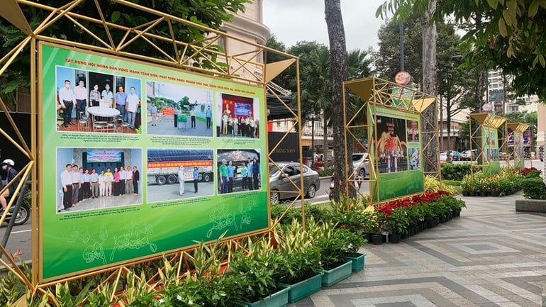 image-1.jpg