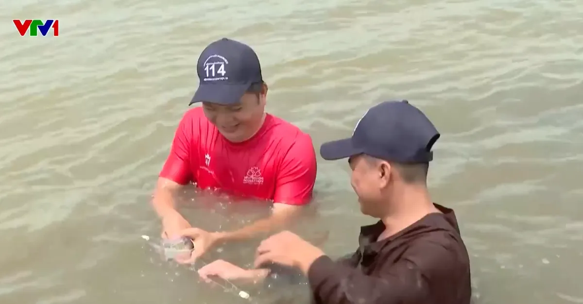 Nông dân miền Tây làm du lịch mùa nước nổi- Ảnh 2.