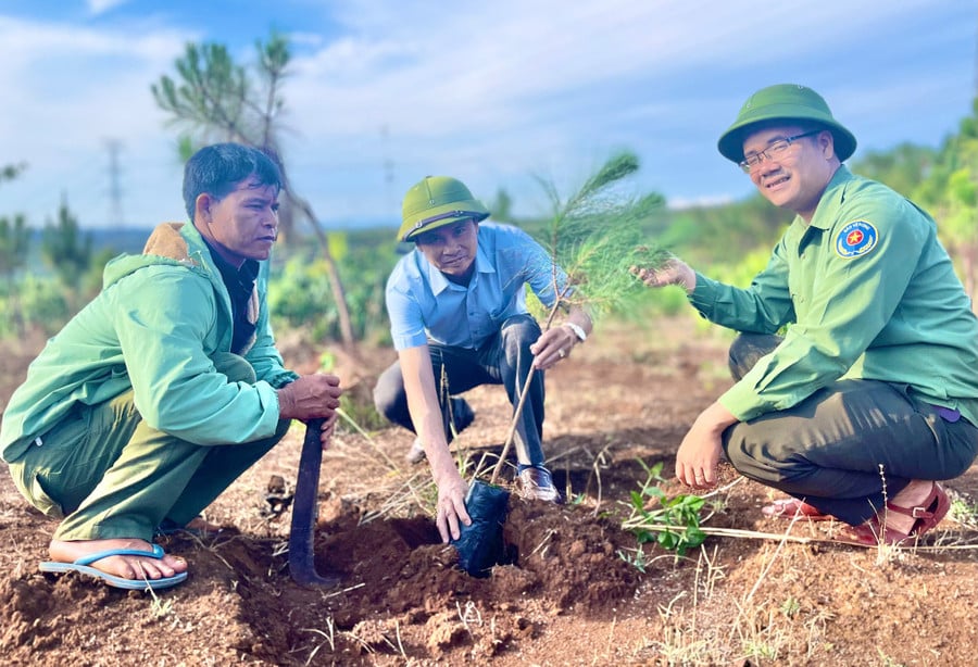 ban-quan-ly-rung-phong-ho-bac-bien-ho-da-hoan-thanh-toan-bo-ke-hoach-duoc-giao-nam-2025.jpg