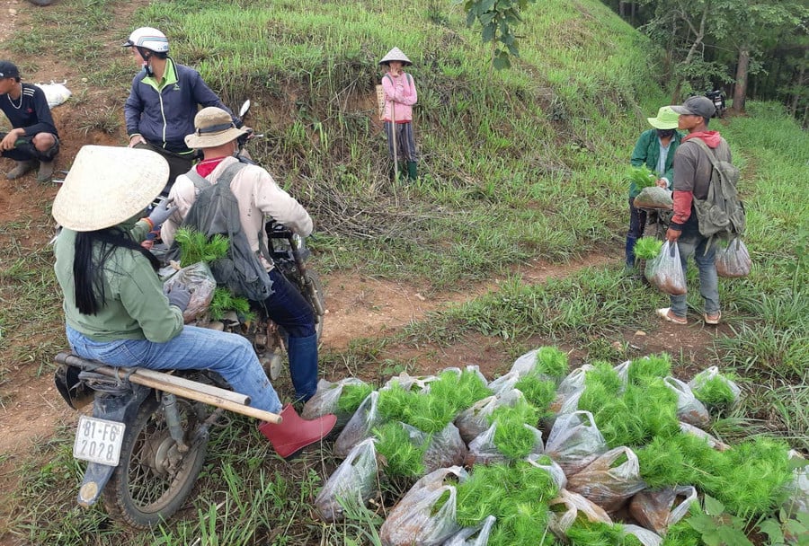 dong-bao-dan-toc-thieu-so-tham-gia-trong-rung-phong-ho-tai-xa-ha-ra.jpg