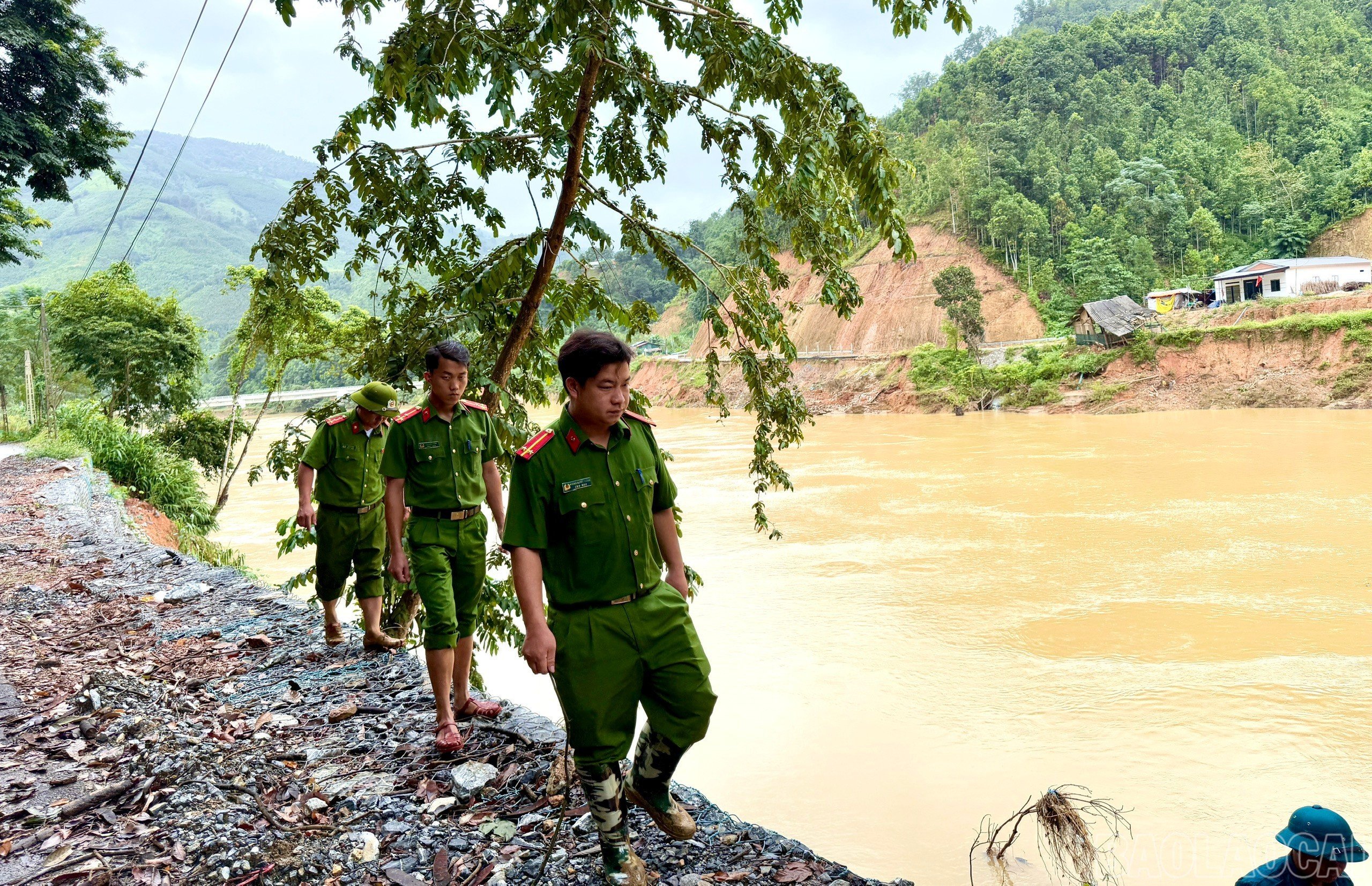 image-1.jpg