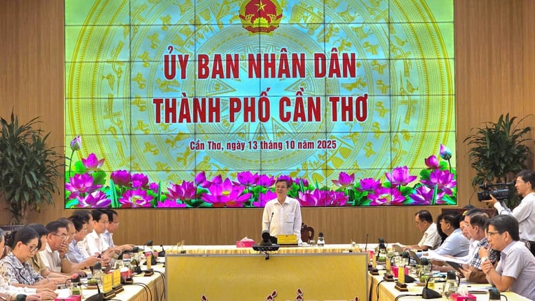 Cần Thơ: Sớm kiện toàn tổ chức bộ máy, nhân sự các Hiệp hội doanh nghiệp- Ảnh 1.