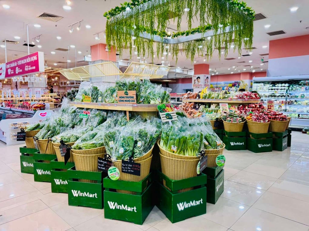 Doanh nghiệp tiêu dùng - bán lẻ khởi sắc lợi nhuận quý III - 2