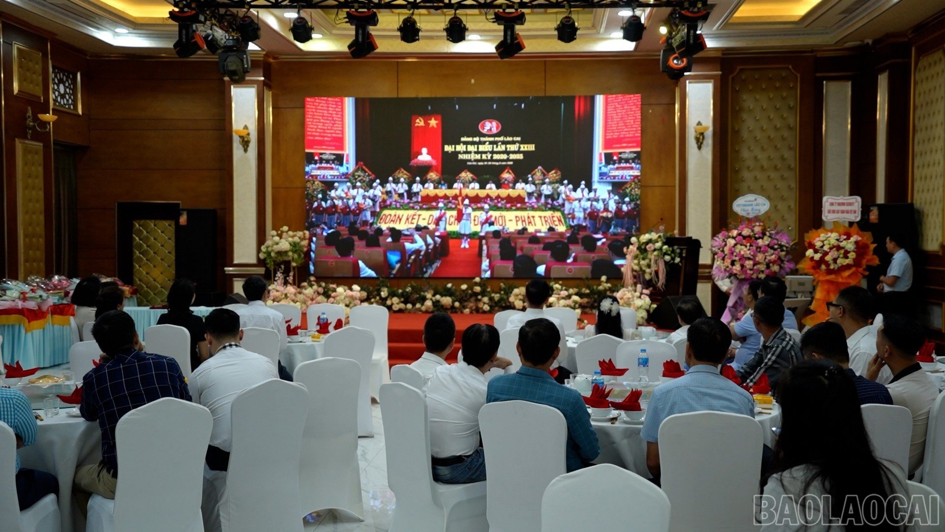 baolaocai-br_c10-6718.jpg