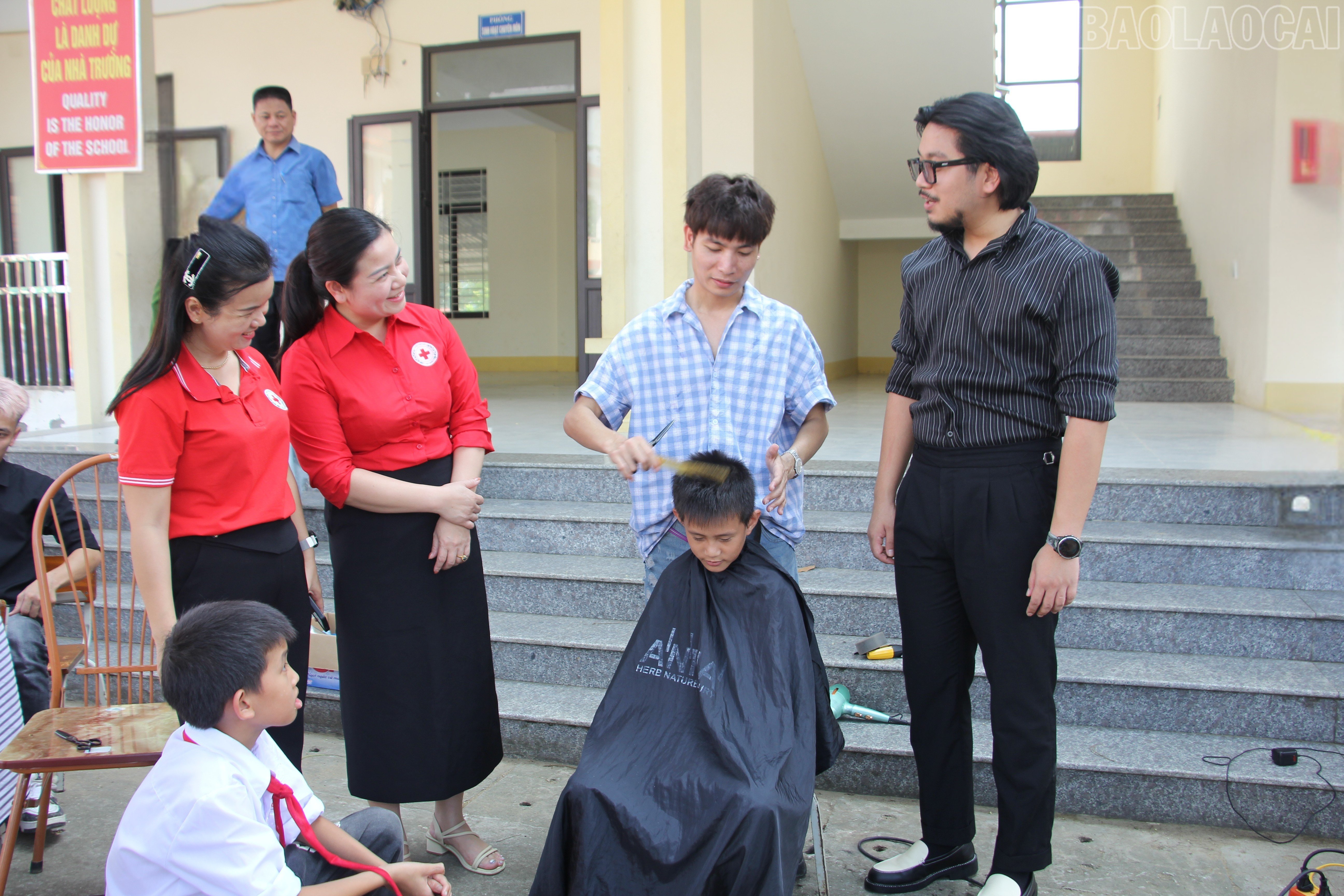 baolaocai-tr_8626bcd7-d195-4983-ad43-43e6ca28cf62-1.jpg