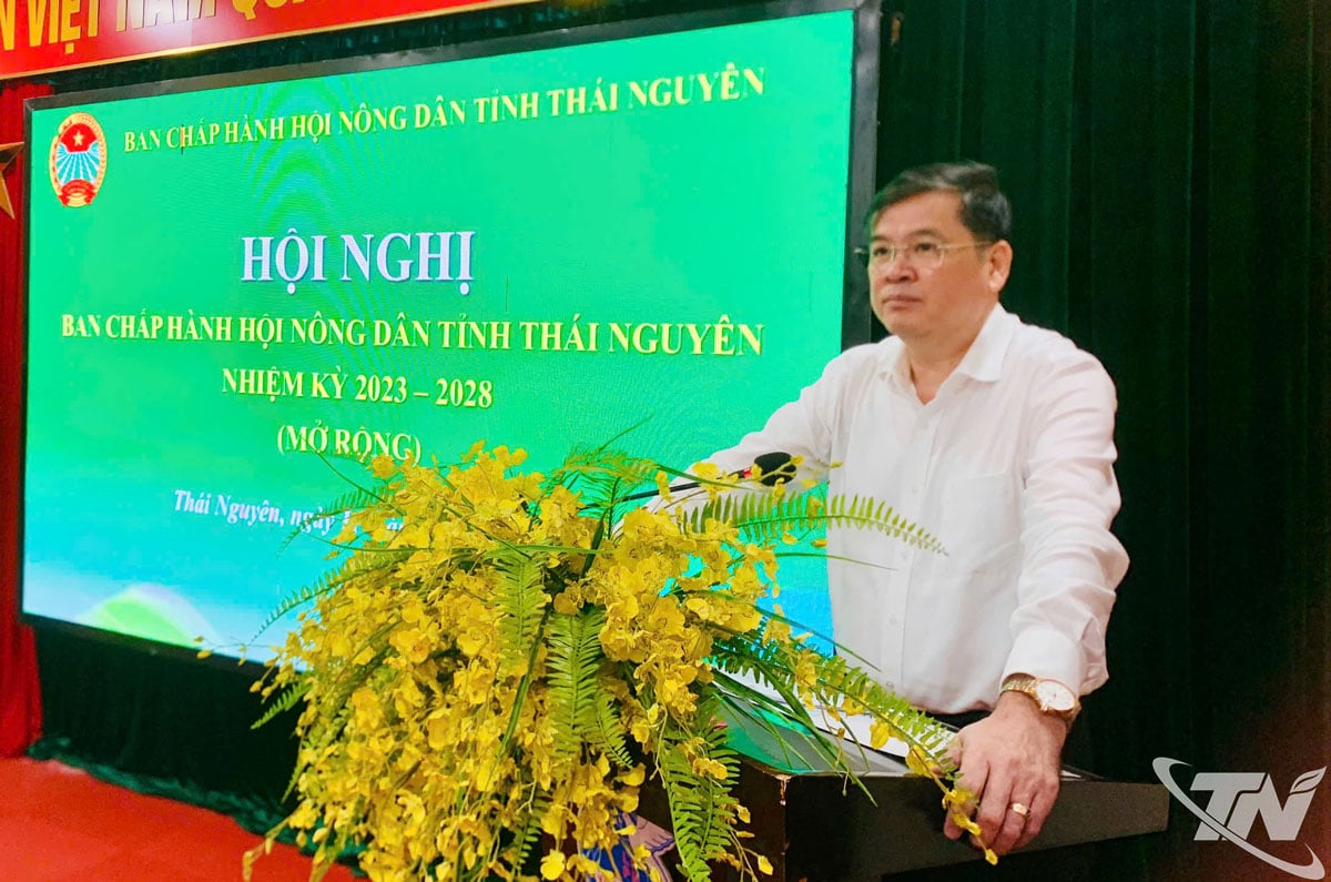 Genosse Phan Thanh Ha, stellvertretender Vorsitzender des Provinzkomitees der Vaterländischen Front und Vorsitzender des Provinzbauernverbands, sprach auf einer Sitzung des Exekutivkomitees des Provinzbauernverbands.