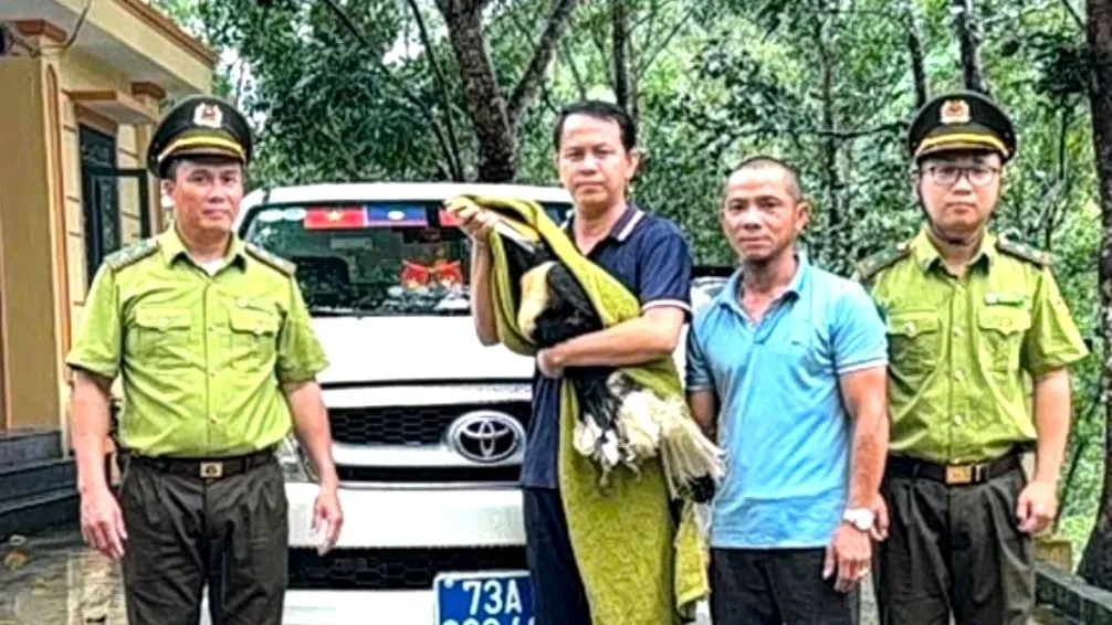 Người dân Quảng Trị trao trả chim quý hiếm cho cơ quan chức năng