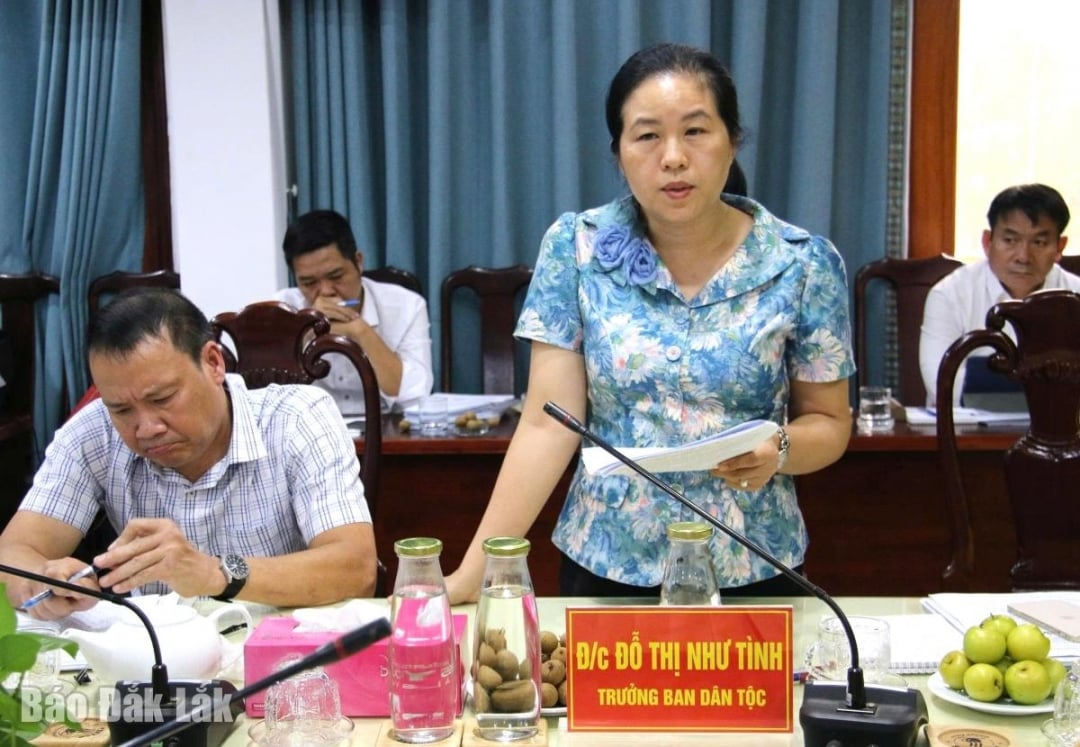 Head of the Ethnic Committee of the Provincial People's Council Ho Thi Nhu Tinh spoke at the meeting.