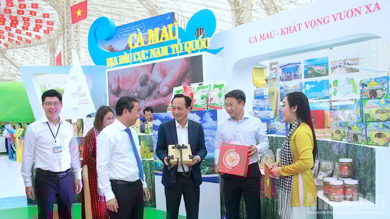 ndo_br_thieu-2-6764.jpg
