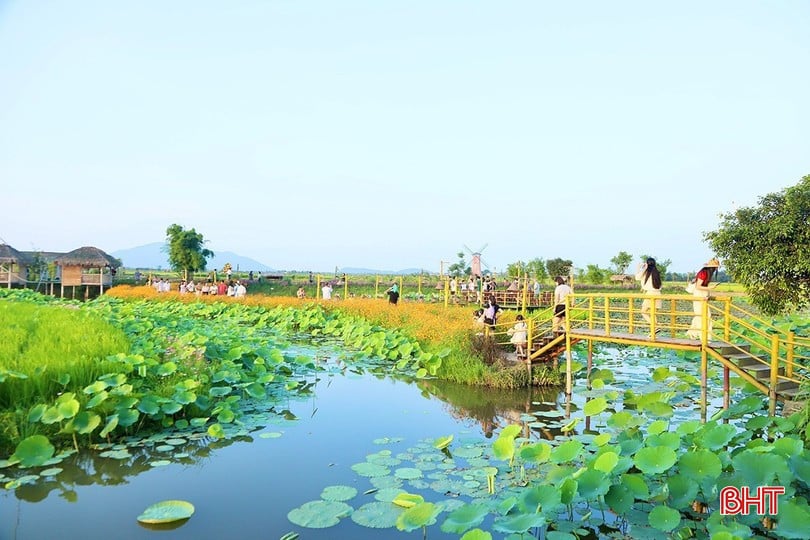 bqbht_br_image-9199.jpg