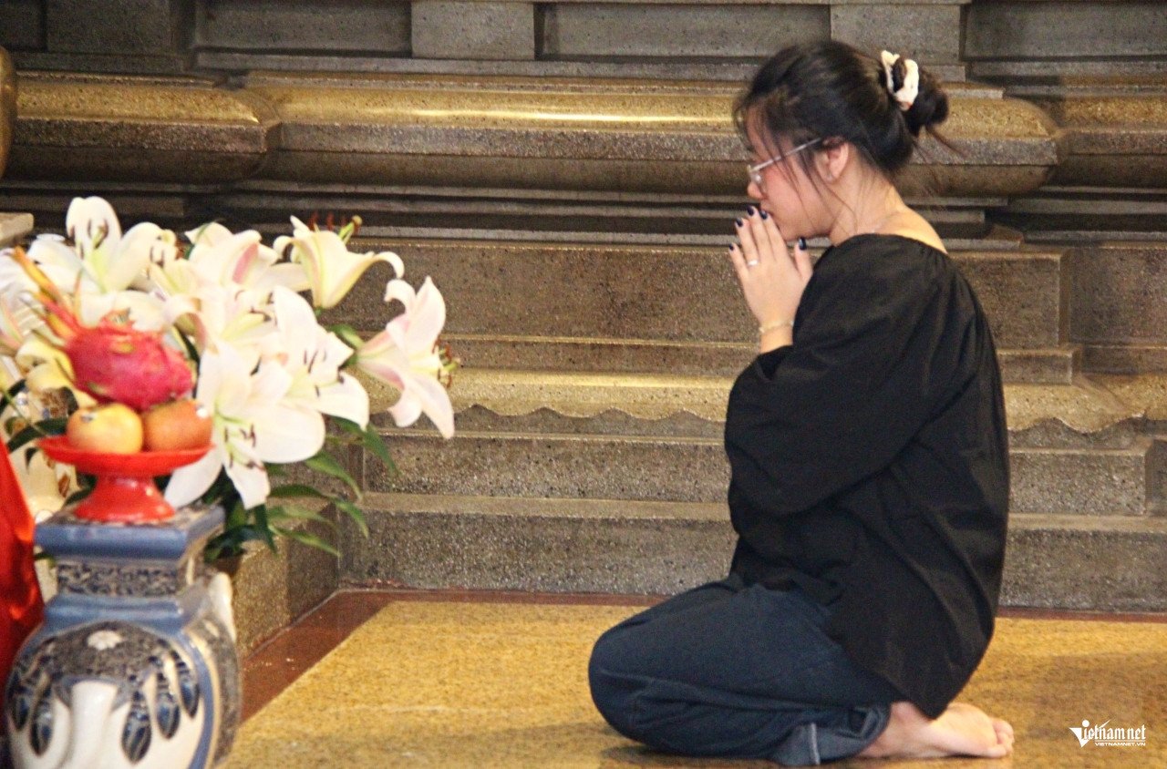 W-den-co-8.JPG.jpg