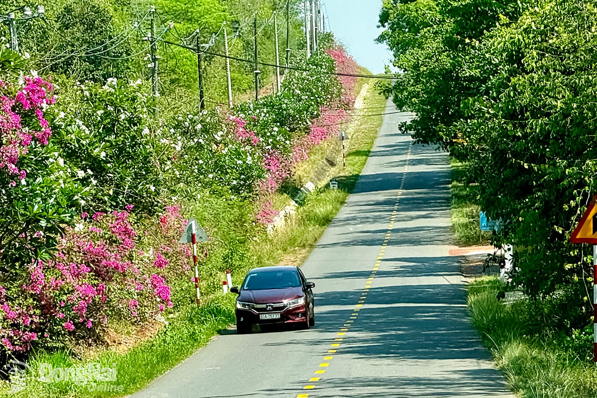 Oamenii sunt subiecții principali în construirea drumurilor rurale model. În fotografie: Drum rural nou în comuna Phu Ly, provincia Dong Nai.  