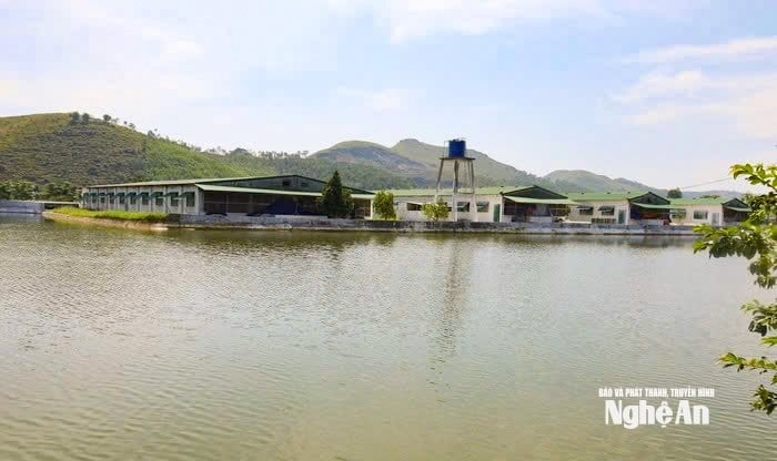 tân 1