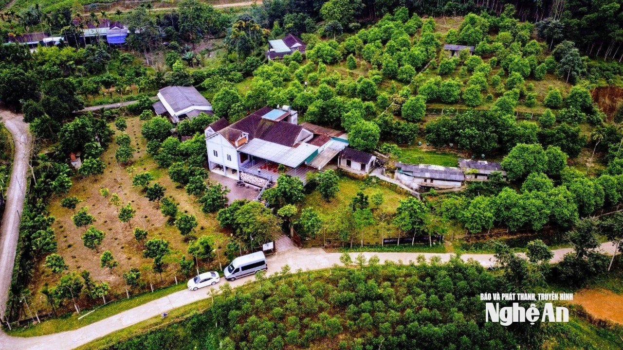 giả 3
