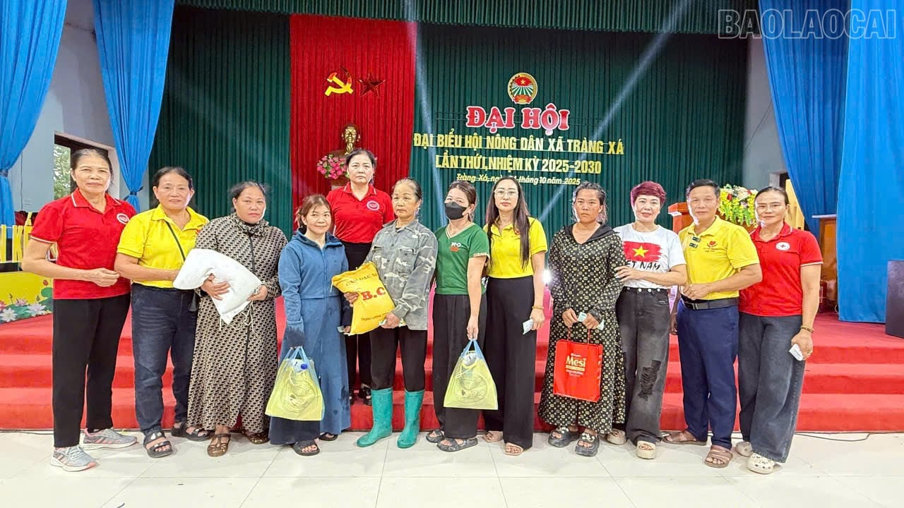 baolaocai-tr_2.jpg