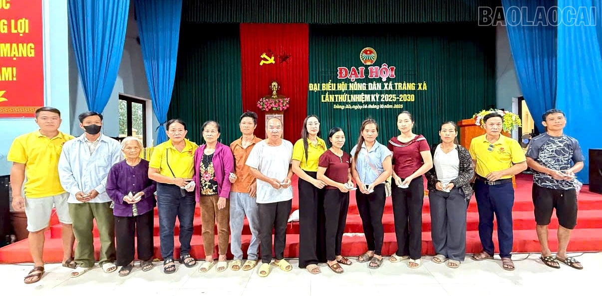 baolaocai-tr_4.jpg