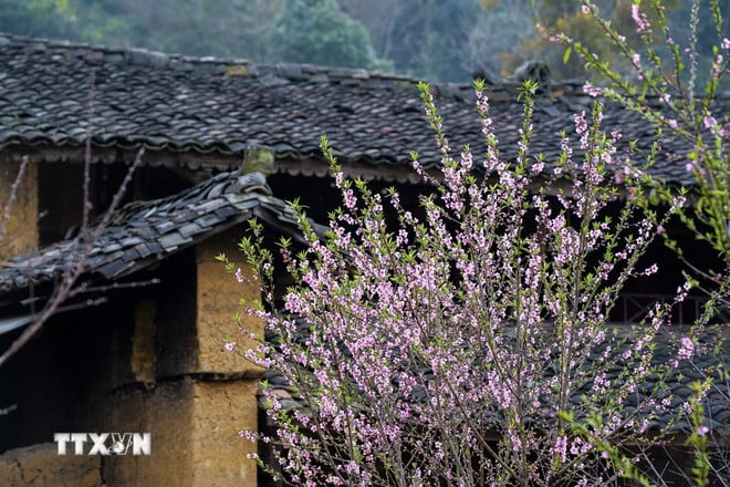 ttxvn-0610-nha-trinh-tuong-nguoi-lo-lo.jpg