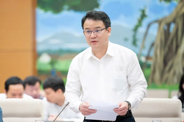 Stellvertretender Finanzminister Tran Quoc Phuong stellt den Entwurf des Planungsgesetzes (geändert) vor