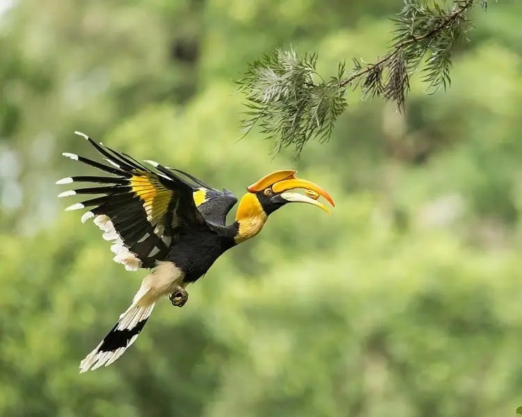 chimm-10.jpg