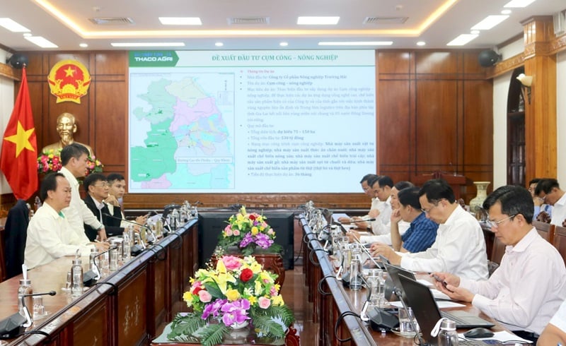 El Sr. Tran Bao Son, Director General Adjunto de Truong Hai Group (THACO) y Director General de THACO AGRI Group, presentó el Proyecto del Clúster Industrial y Agrícola y el Proyecto del Centro Logístico.