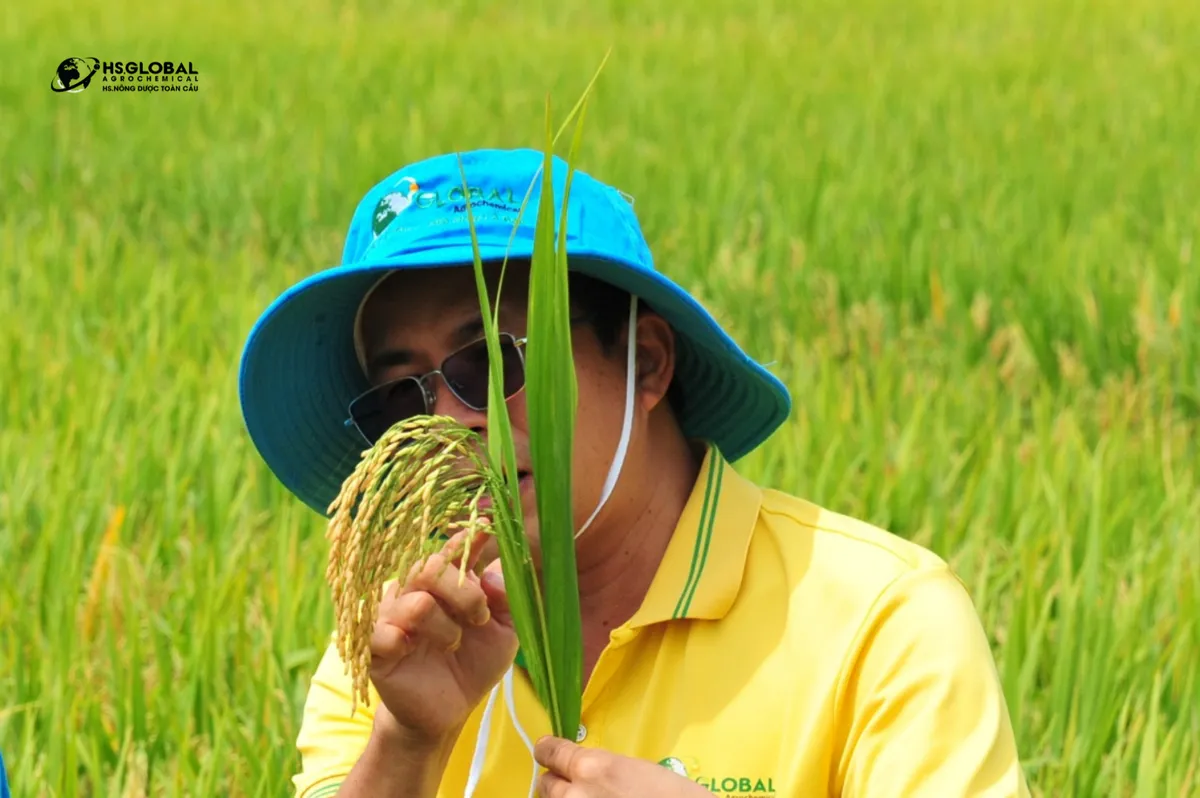 Nông Dược Toàn Cầu mang đến giải pháp nông nghiệp tiên tiến cho nông dân Việt - Ảnh 2.
