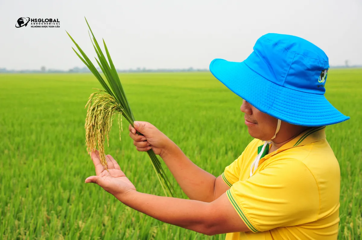 Nông Dược Toàn Cầu mang đến giải pháp nông nghiệp tiên tiến cho nông dân Việt - Ảnh 3.