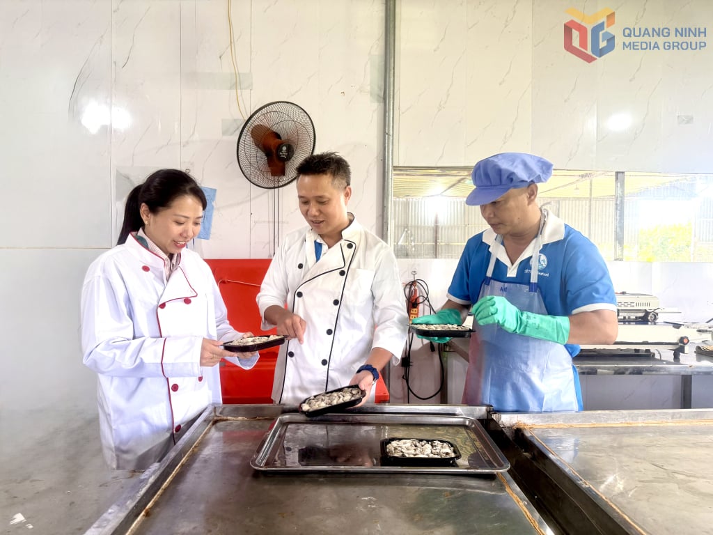 Use bandeja de formação multicamadas e filme selável a quente