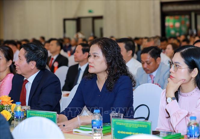ចំណងជើងរូបថត