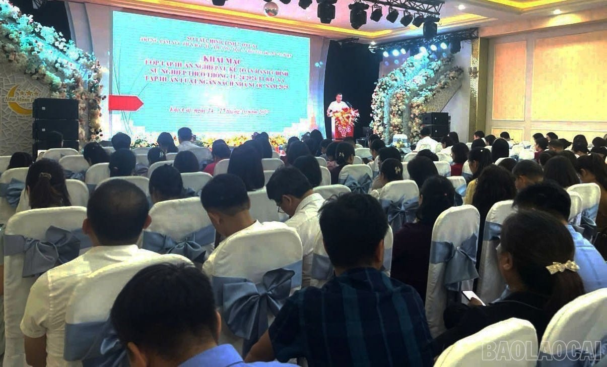 baolaocai-br_tap-huan-1.jpg