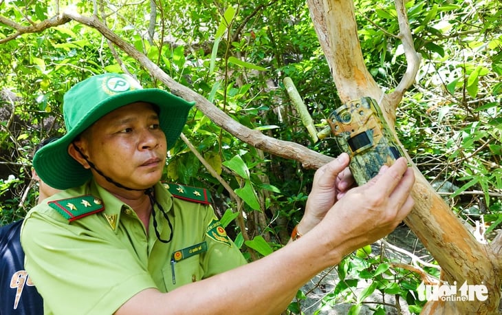 khỉ trắng - Ảnh 1.